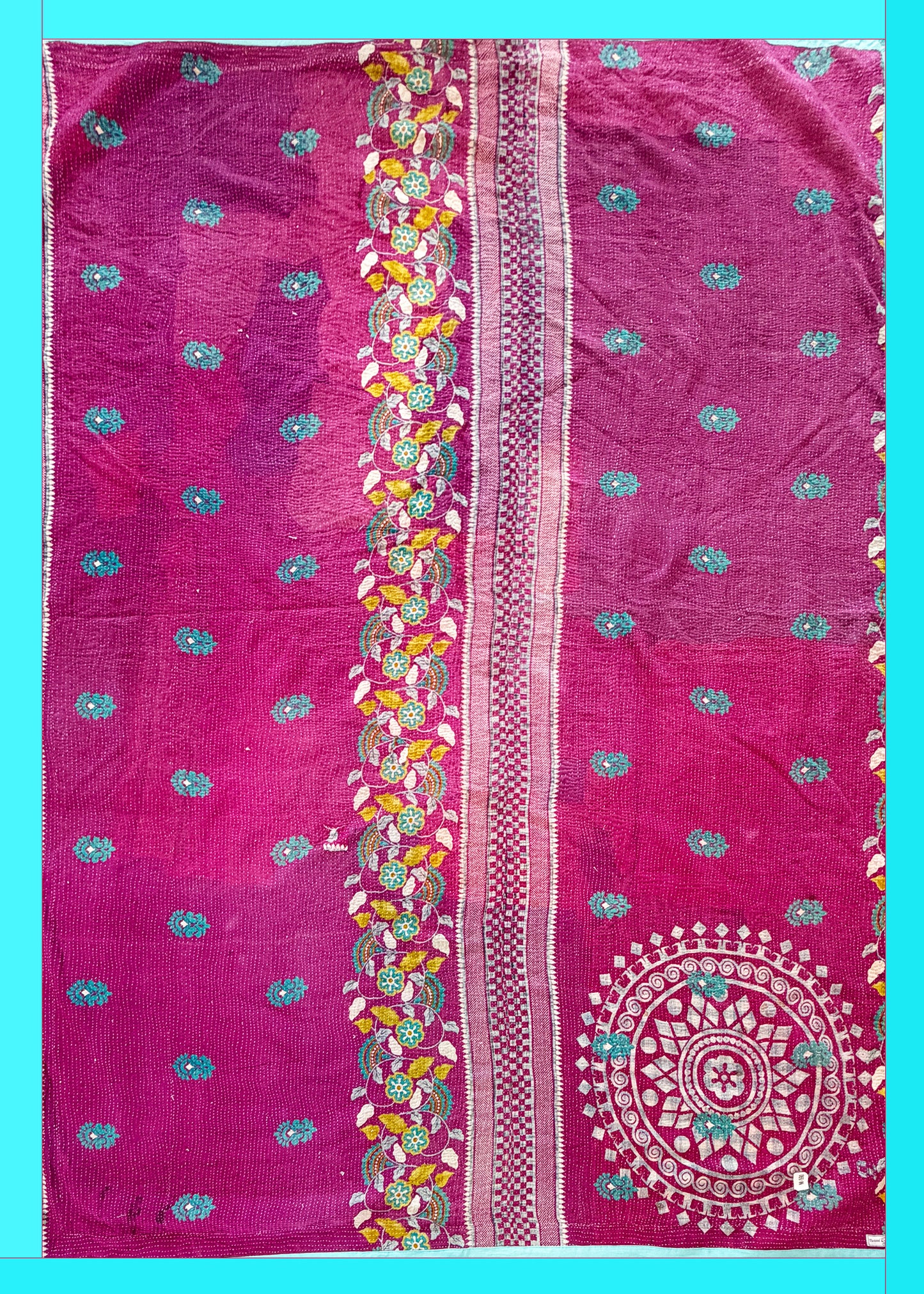 Pink Peacock
